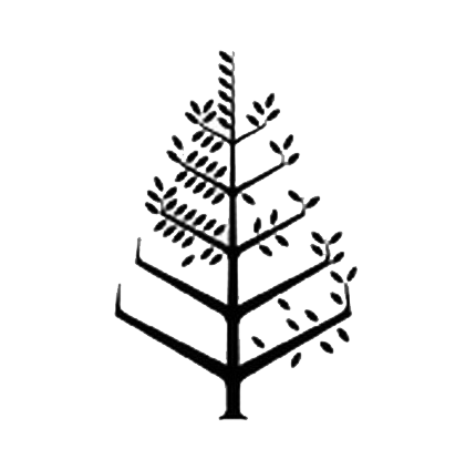 Four Seasons Hotel Abu Dhabi at Al Maryah Island Logo